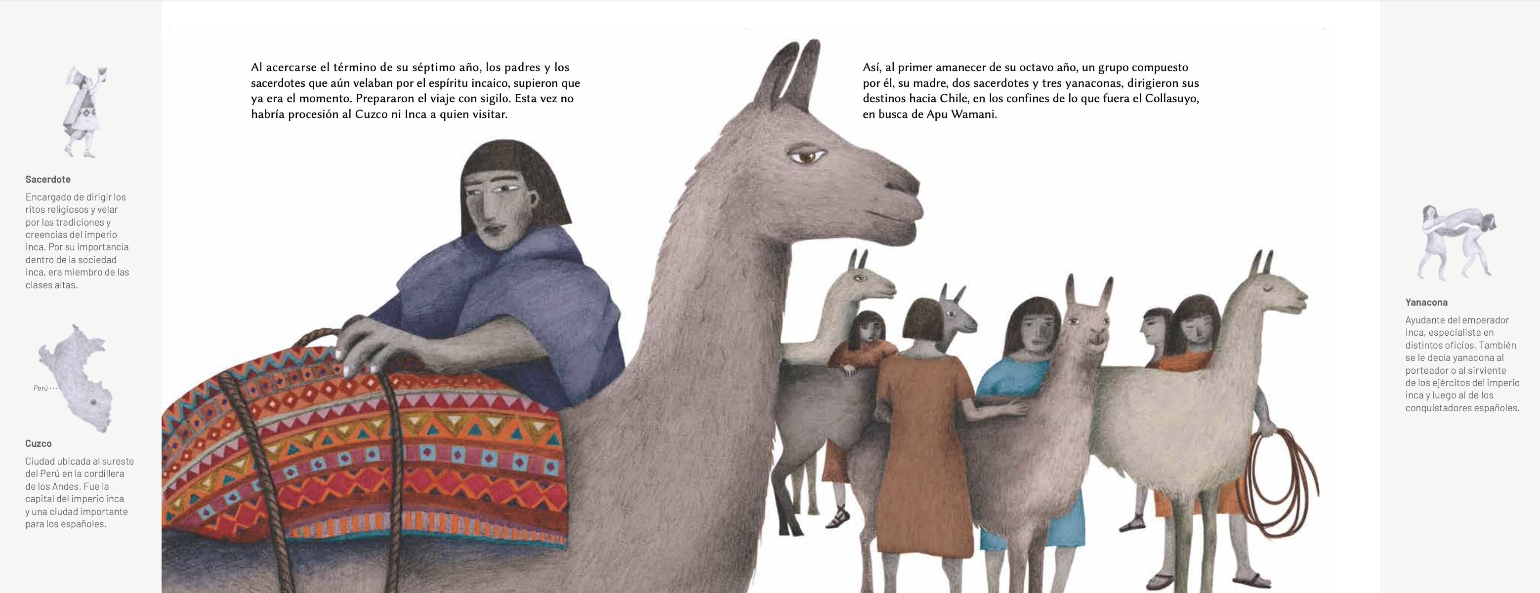 El niño del cerro El Plomo MuñecadeTrapo